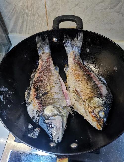 白鲫鱼的做法大全家常-图1