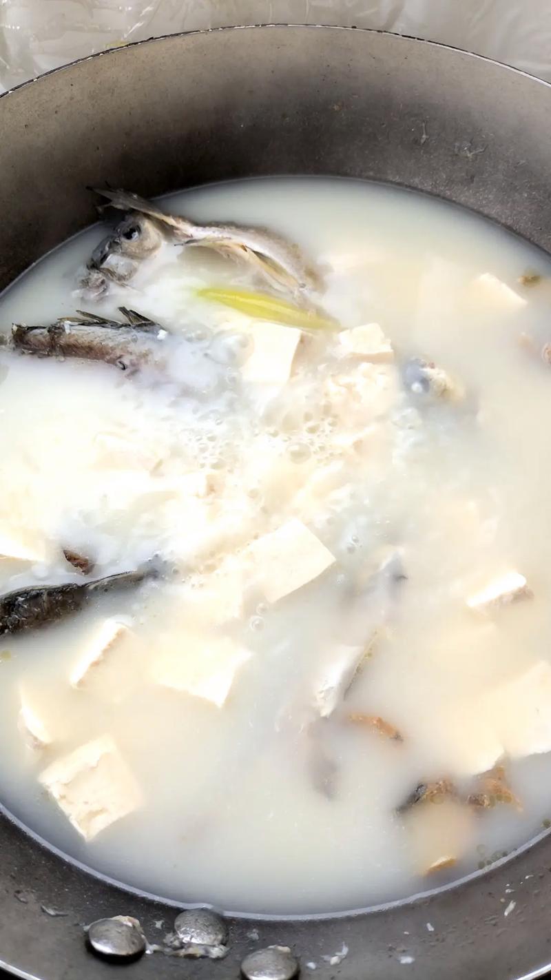 白鲫鱼的做法大全家常-图3