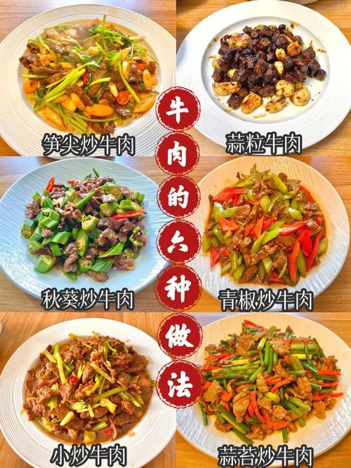 煎牛肉怎么做才嫩滑？家常做法有哪些？-图3