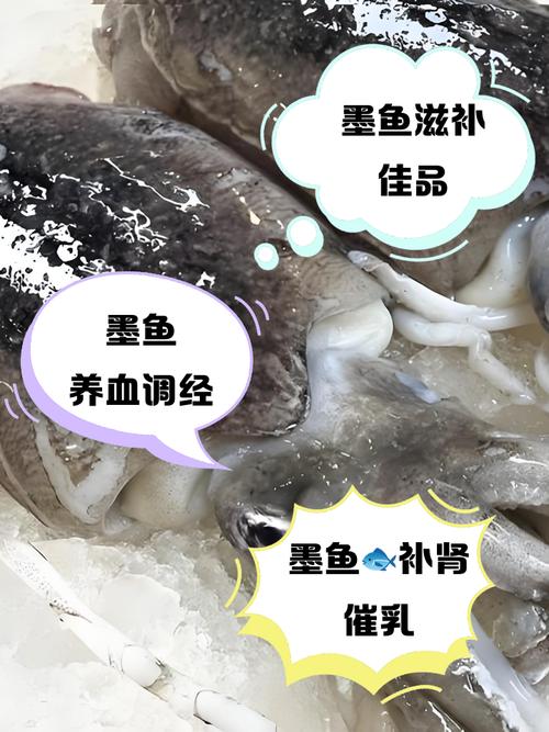墨鱼做法大全有哪些关键窍门？-图1