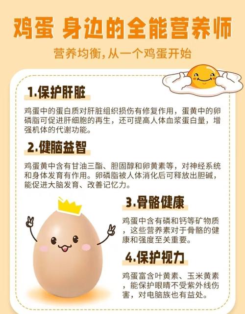 宝宝吃哪种蛋营养最高？-图3