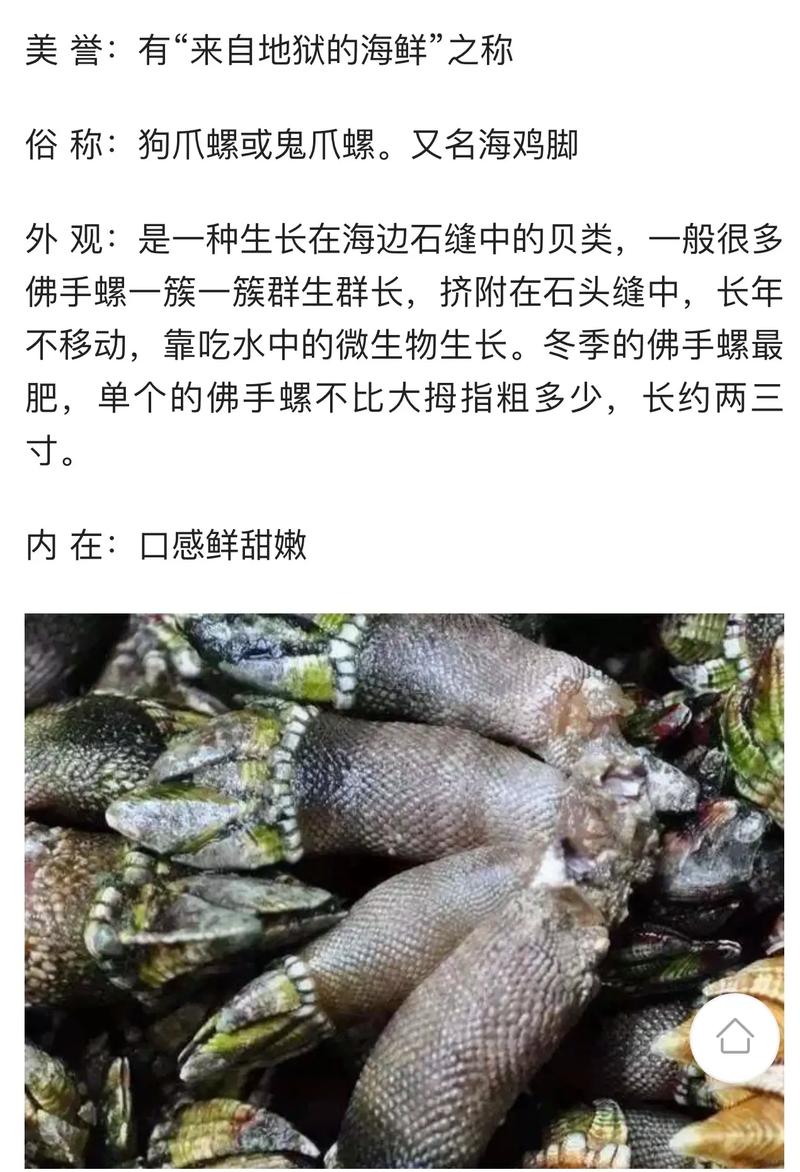 佛手海鲜怎么做?有哪些特色做法?-图1 佛手海鲜怎么做?有哪些特色做法?-图1