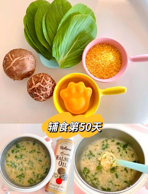 宝宝鸡肉蔬菜粥怎么做？-图1