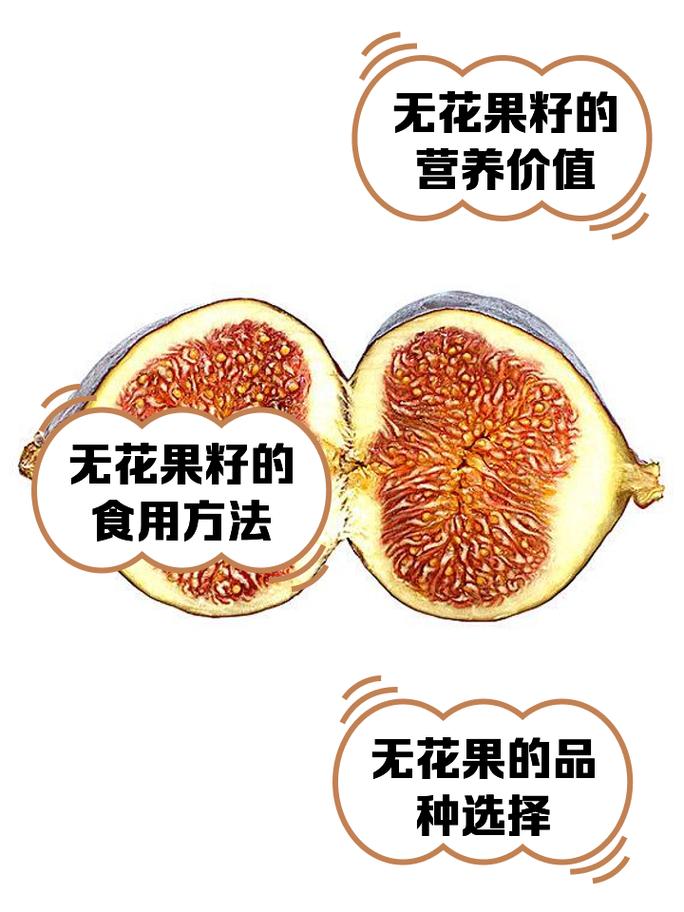 无花果籽能吃吗?-图1 无花果籽能吃吗?-图1