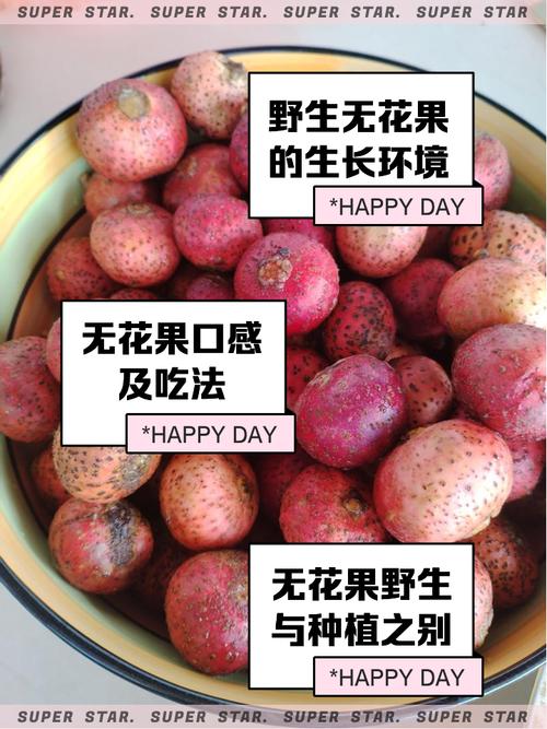 无花果籽能吃吗?-图2 无花果籽能吃吗?-图2