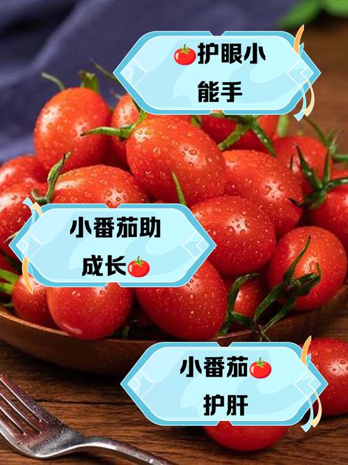 宝宝小番茄怎么吃才安全又营养？-图2