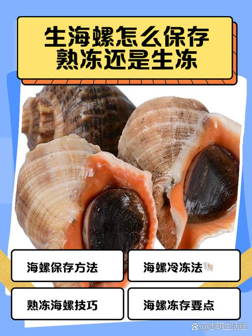 夏天贝壳海鲜怎么储存才保鲜?-图1 夏天贝壳海鲜怎么储存才保鲜?-图1
