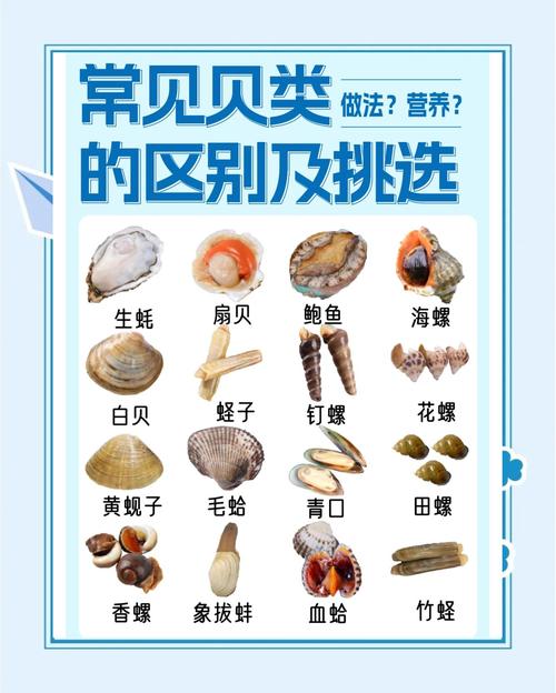 夏天贝壳海鲜怎么储存才保鲜?-图3 夏天贝壳海鲜怎么储存才保鲜?-图3