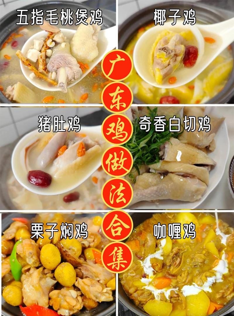 家常鸡做法大全,有哪些简单又好吃的做法?-图3 家常鸡做法大全,有哪些简单又好吃的做法?-图3