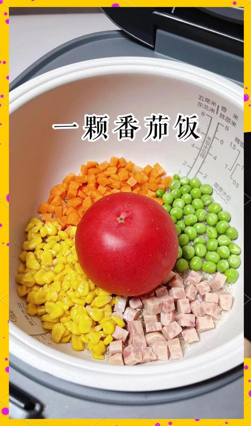 西红柿海鲜焖饭怎么做?-图3 西红柿海鲜焖饭怎么做?-图3