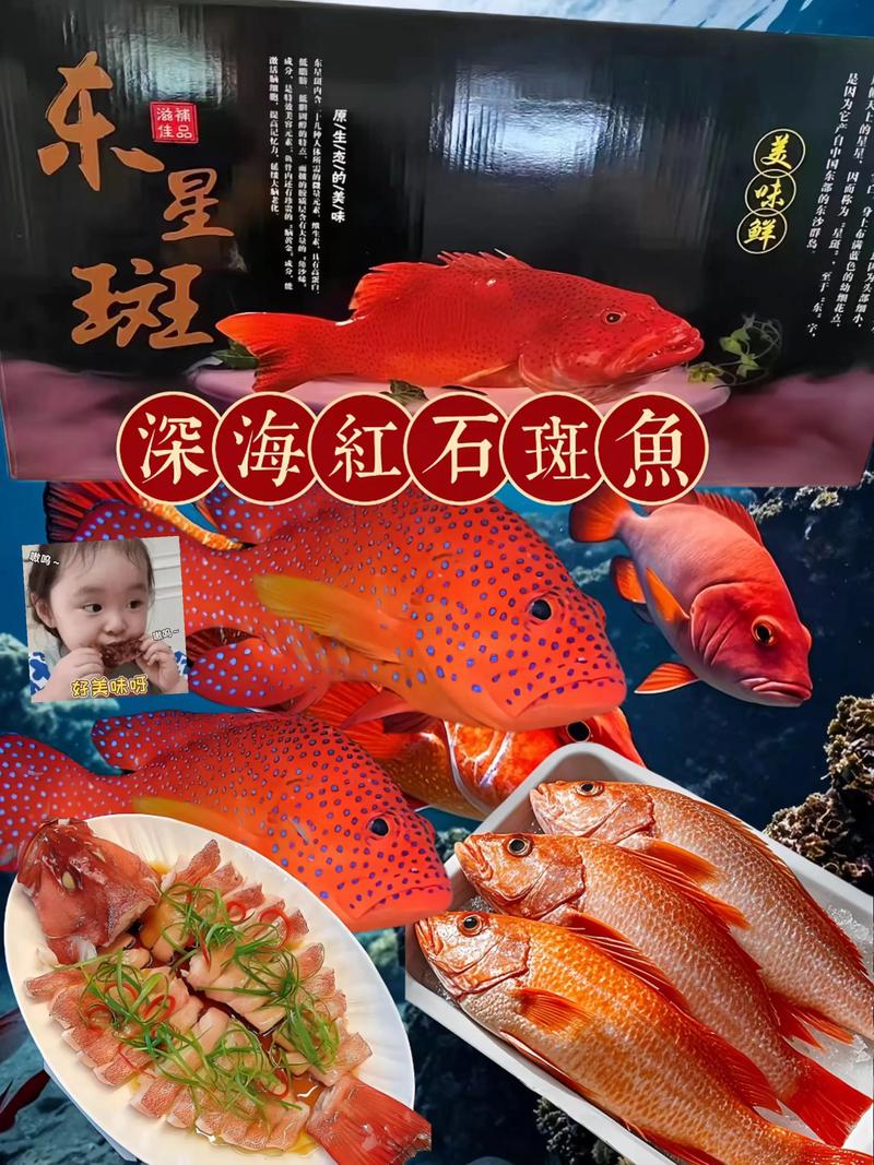 红色海鲜清蒸时，为何是最佳做法？-图3