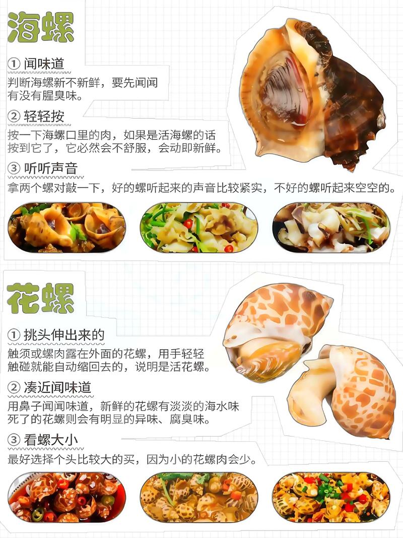 儿童海鲜菜谱有哪些推荐？-图2