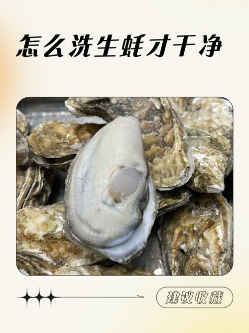 海鲜带子怎么洗才干净？-图2