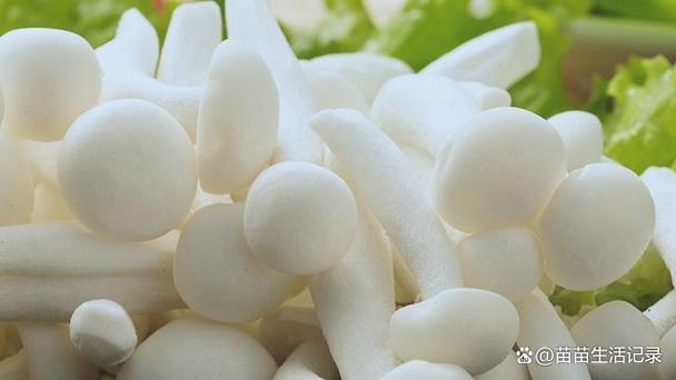 白雪海鲜菇怎么做才好吃？-图3