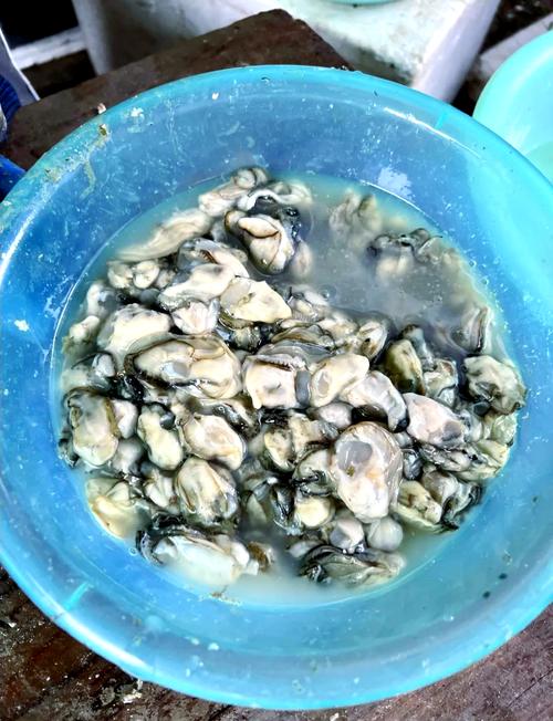 软体海鲜章鱼牡蛎有何独特魅力？-图3