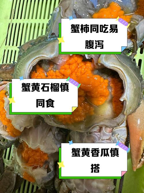 东海黄海海鲜差异大吗？-图1