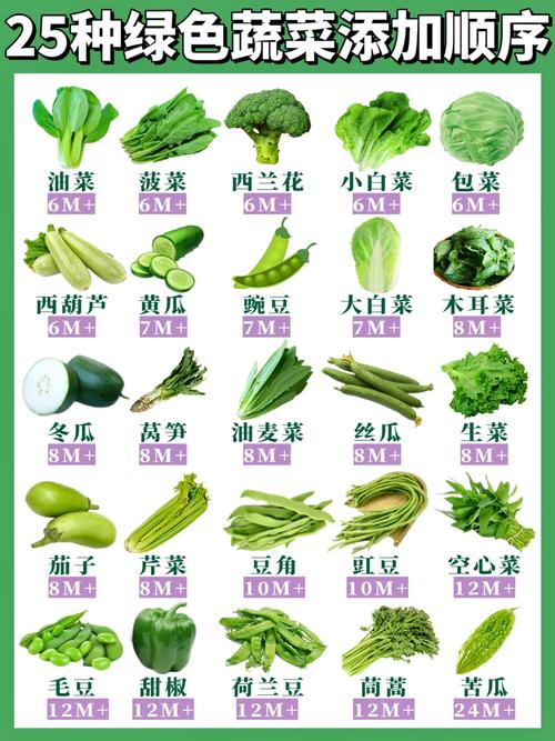 宝宝能吃哪些青菜？有哪些推荐？-图1