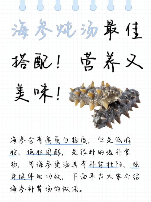 海参汤做法有哪些家常做法?-图2 海参汤做法有哪些家常做法?-图2