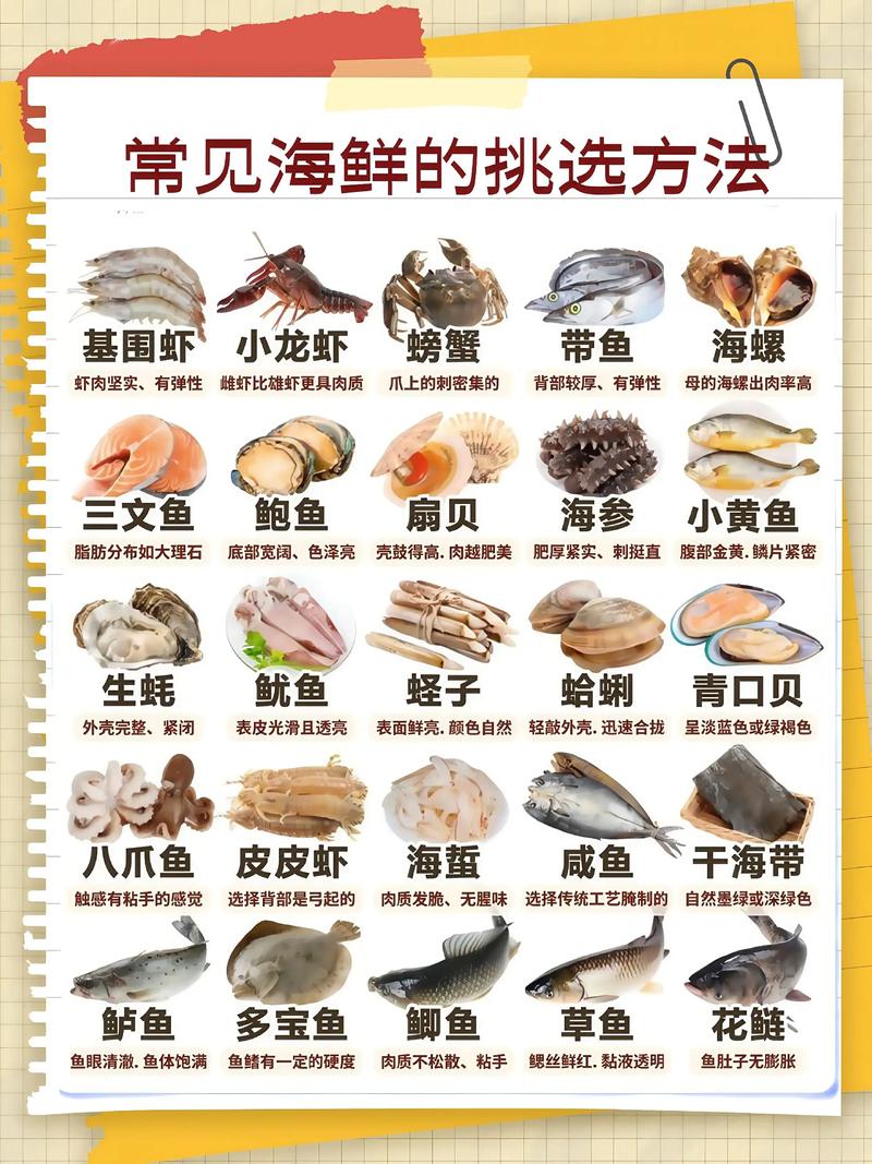 冰鲜海鲜和冰冻海鲜怎么分辨？-图1