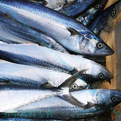 冰鲜海鲜和冰冻海鲜怎么分辨？-图3