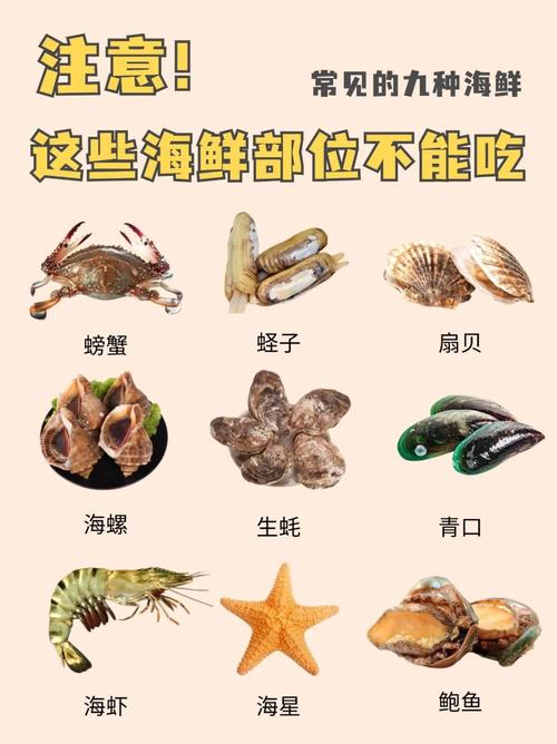 小海鲜有哪些常见品种？-图1