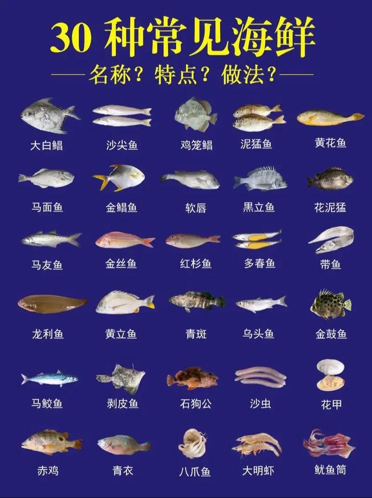 小海鲜有哪些常见品种？-图3