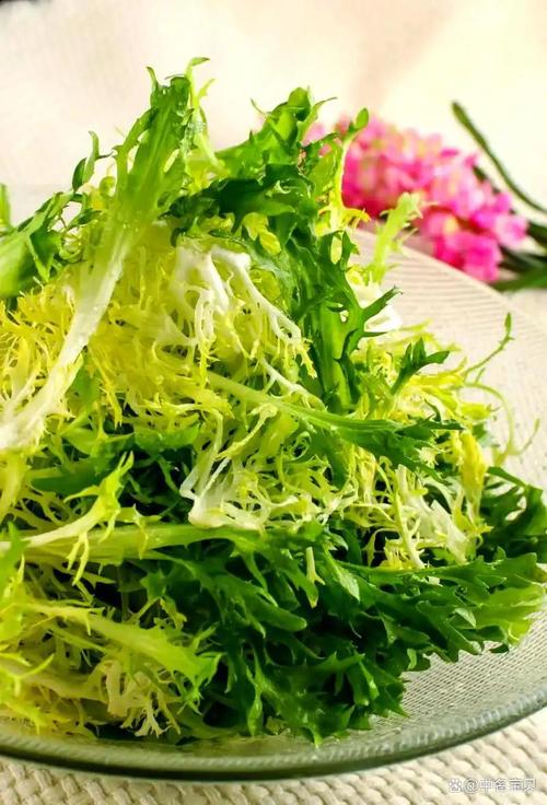 宝宝辅食能吃苦菊吗？-图3