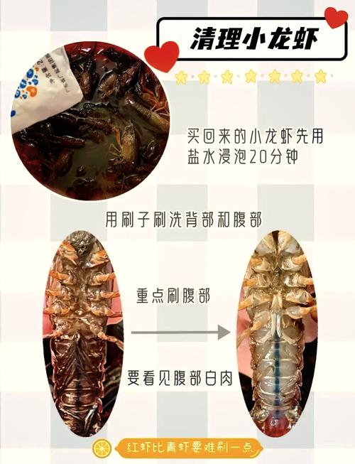 海鲜火锅海鲜怎么洗才干净？-图2