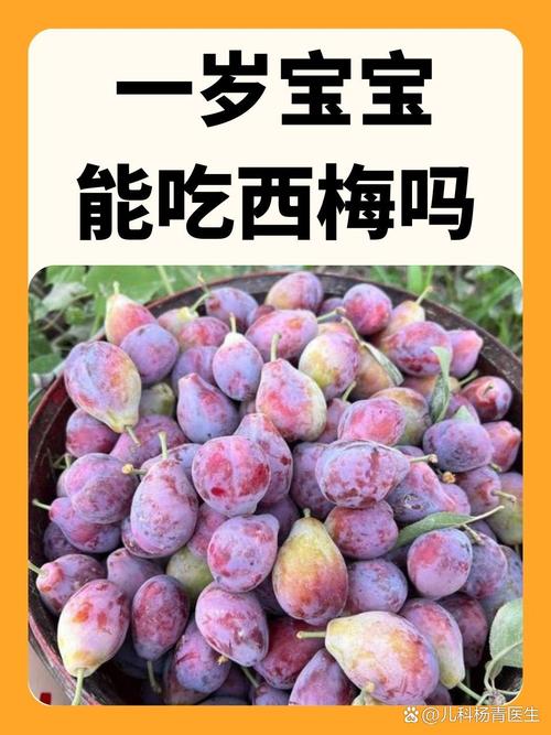 西梅海鲜同食会中毒吗？-图3