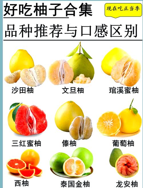 西柚和海鲜同食会中毒吗？-图3