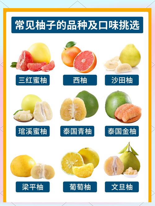 西柚和海鲜能同食吗？-图3