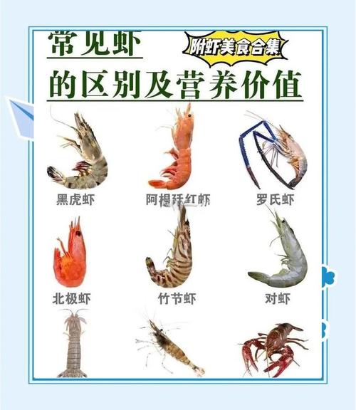 河虾海鲜同食会中毒吗？-图3