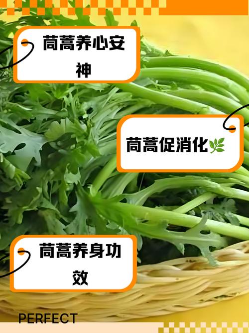 茼蒿海鲜同食会中毒吗？-图2