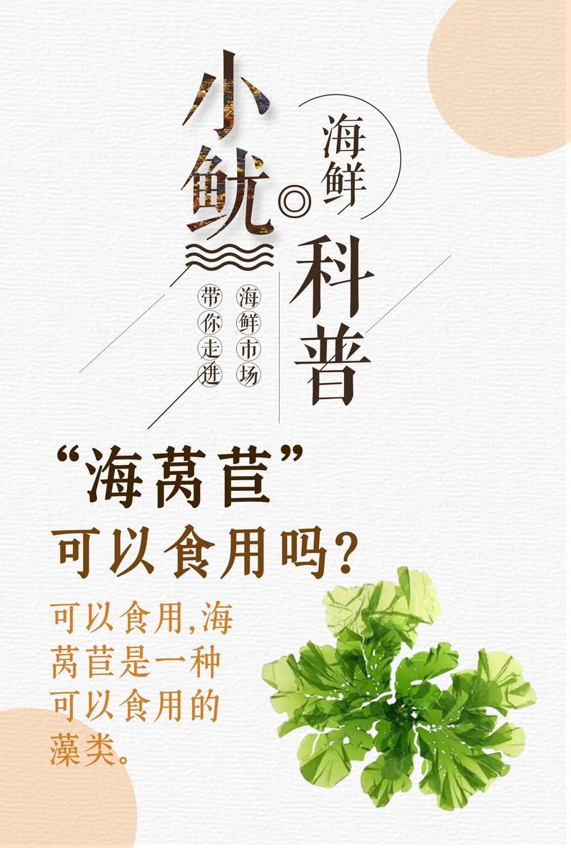 莴苣和海鲜同食会中毒吗？-图1