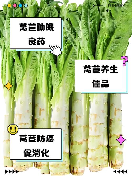 莴苣和海鲜同食会中毒吗？-图2