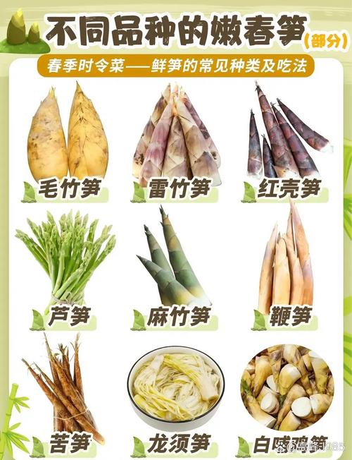 笋和海鲜同食会中毒吗？-图3