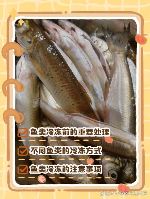 海鲜冻鱼做法大全家常-图1