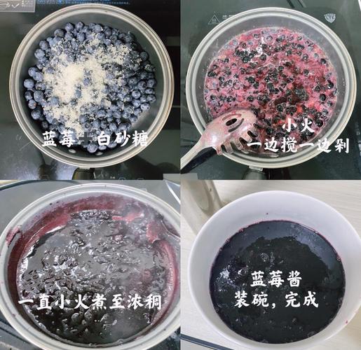 蓝莓酱怎么做？家常做法有哪些？-图1