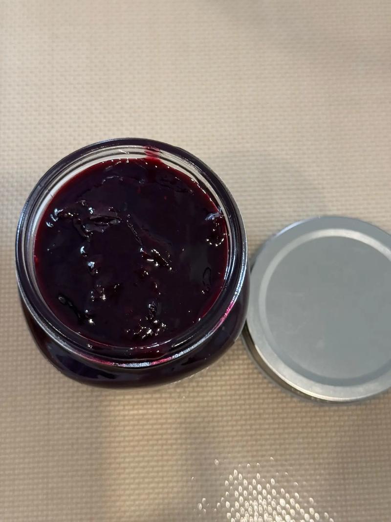蓝莓酱怎么做？家常做法有哪些？-图2