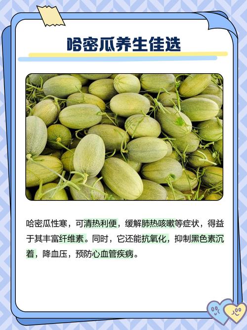 海鲜哈密瓜同食会中毒吗？-图1