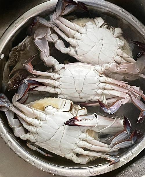 白螃蟹怎么做才好吃？家常做法有哪些？-图3