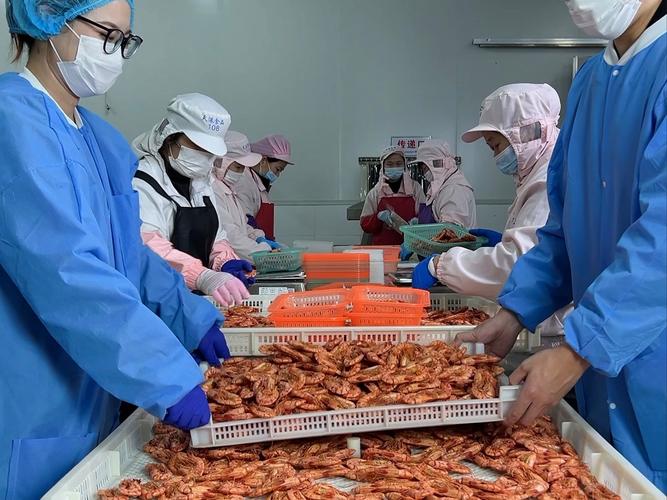 海鲜厂活儿好干吗？累人吗？-图1