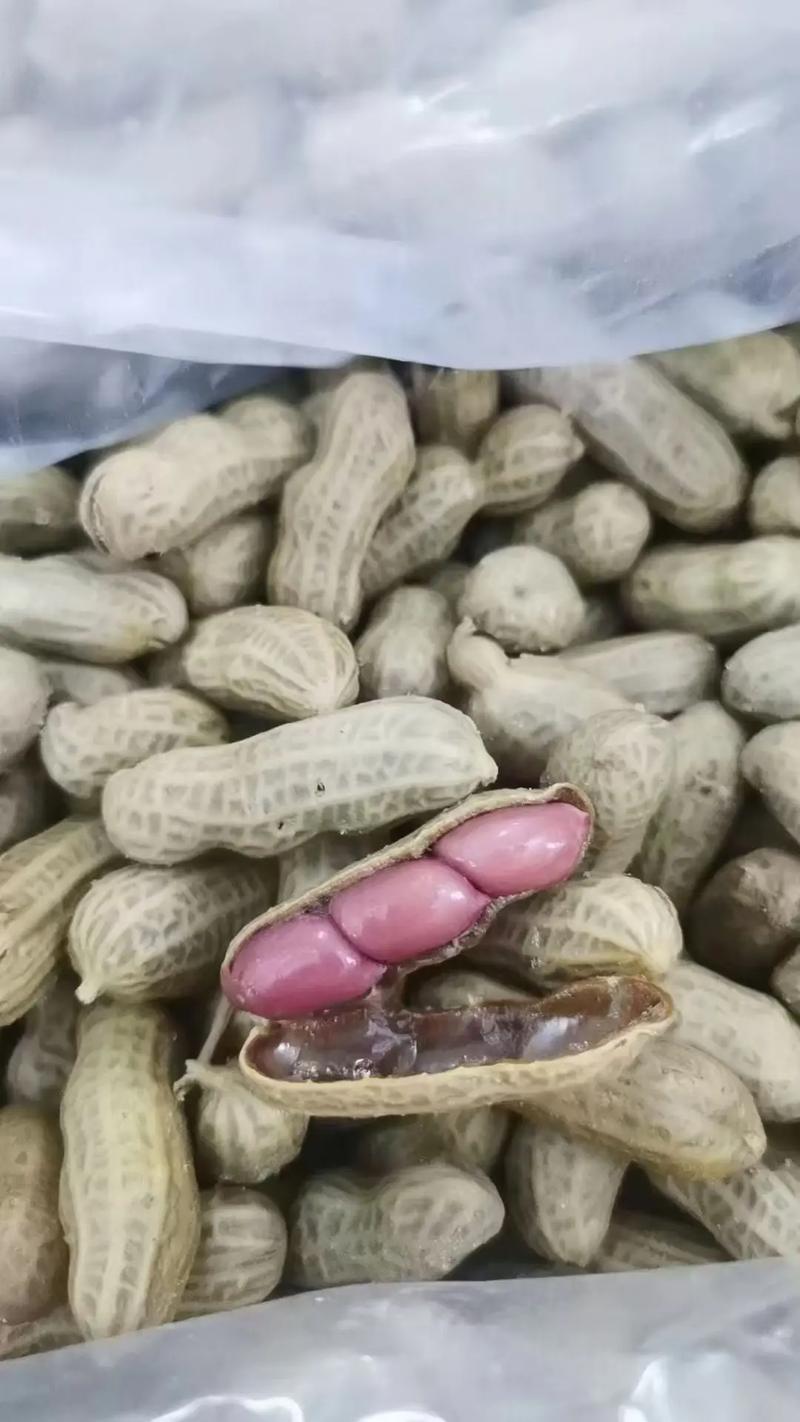 海鲜花生同食会中毒吗？-图1