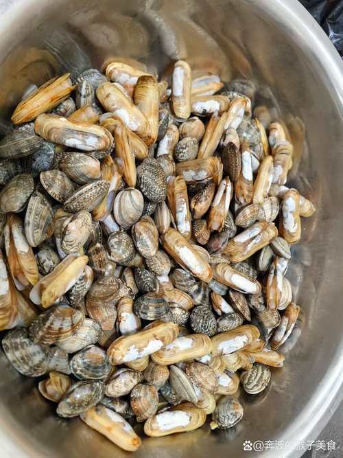 海鲜哈利究竟长啥样？-图1