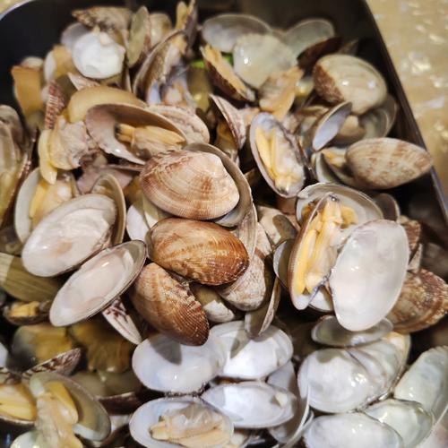 海鲜哈利究竟长啥样？-图2