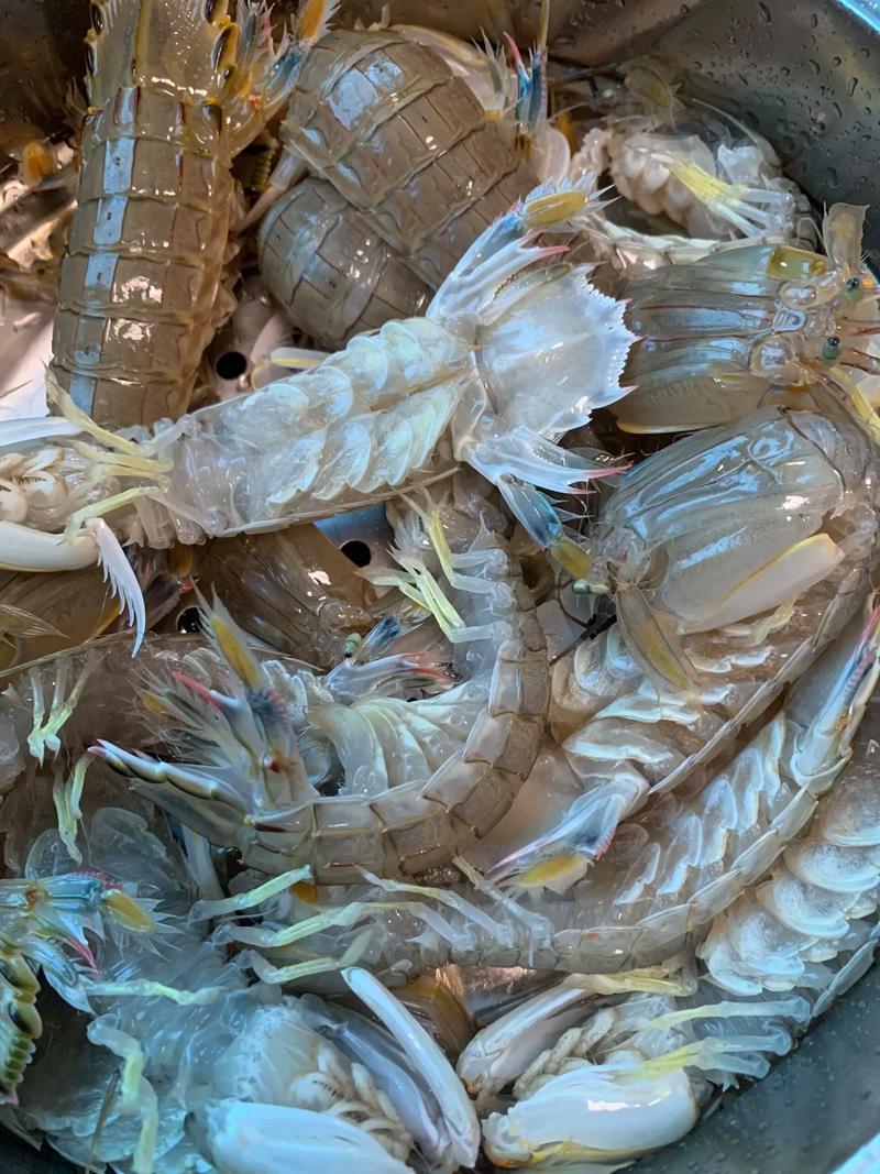 虾爬子怎么做好吃又家常？-图1