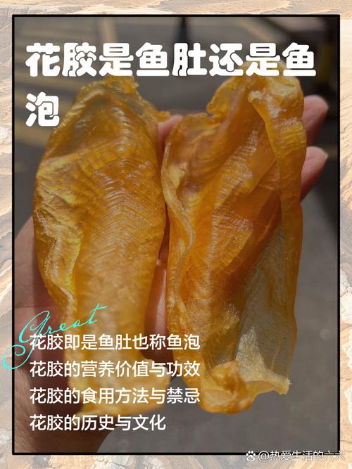 海鲜过敏者能吃花胶吗？-图3
