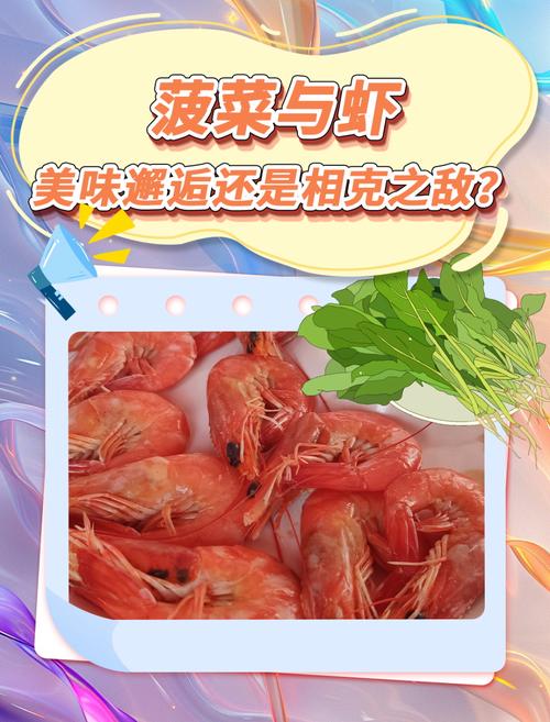 海鲜菠菜同食会中毒吗？-图1