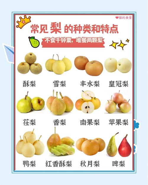 吃完海鲜能不能吃梨子-图1