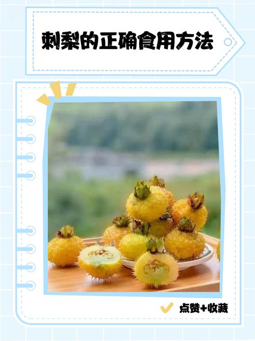 吃完海鲜能不能吃梨子-图2